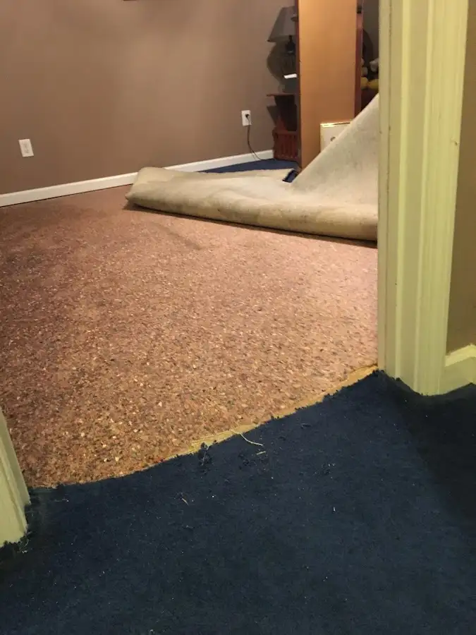 Carpet pad removal revealing water damage during Water Mitigation Services in Urbana