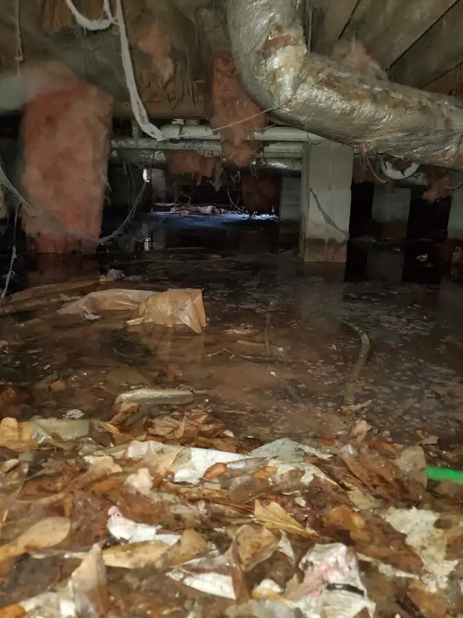Crawl space flood assessment for Leak Detection & Repair in Urbana